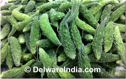 Indian Karela