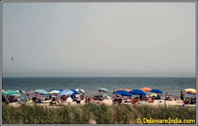 rehoboth beach delaware