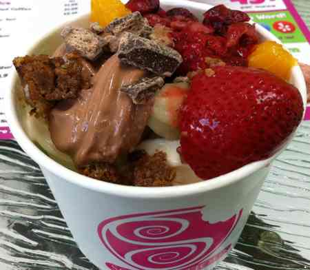 Scrumptious Frozen Yogurt © DelawareIndia.com